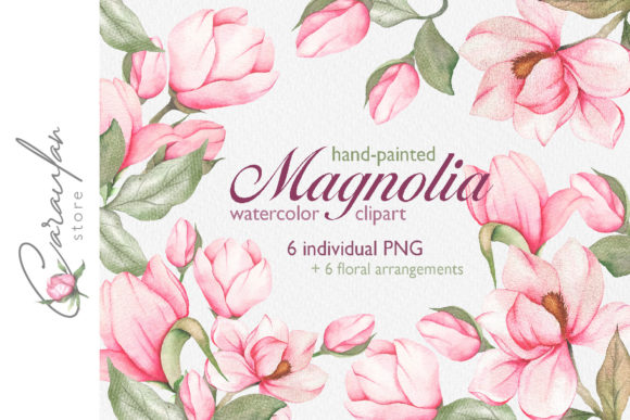 Magnolia Watercolor Clipart, PINK Illustrations