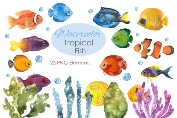 Tropical Digital Clipart. Watercolor Art