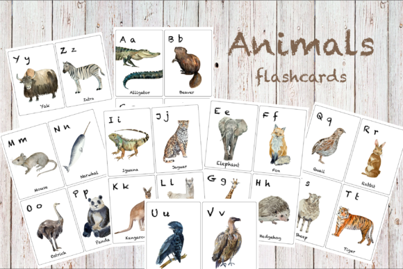 Watercolor ABC Animals Flashcards and Illustrations