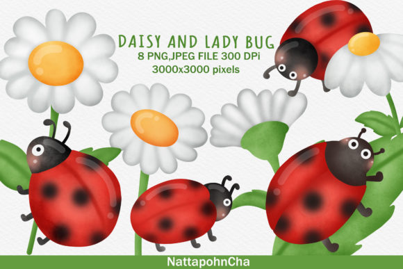 Watercolor Daisy and Lady Bug Clipart Illustrations