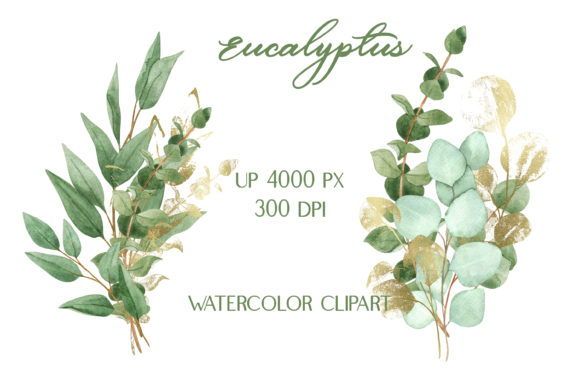 Watercolor Eucalyptus Green Gold Bouquet Illustrations
