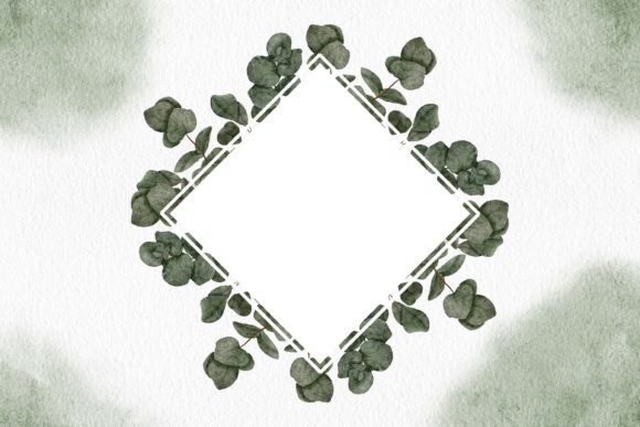 Watercolor Eucalyptus Leaf Frame Border and Illustrations