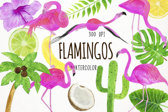 Watercolor Flamingos Clipart Review