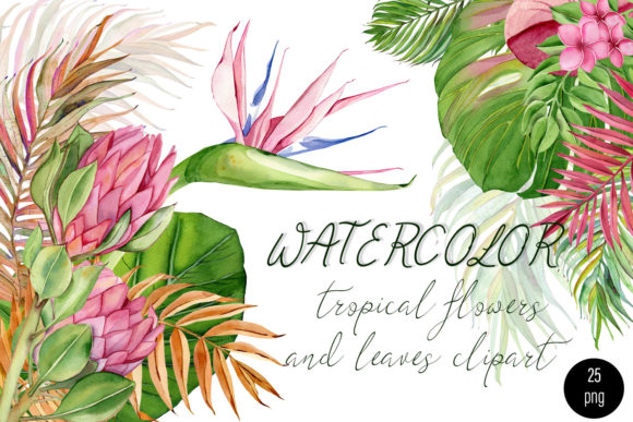 Watercolor Flower Tropical Clipart and Illustrations