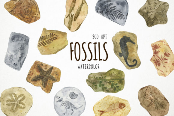 Watercolor Fossils Clipart, Prehistoric Illustrations