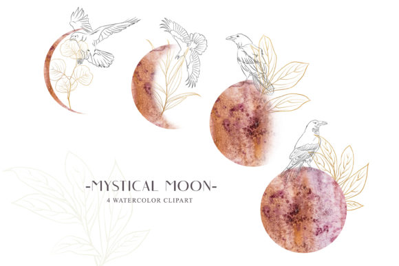Watercolor Moon Phase Clipart. Line Art Illustrations