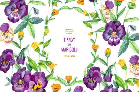 Watercolor Pansy and Marigold Illustrations