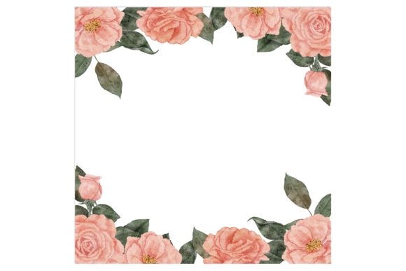 Watercolor Rose Flower Square Frame Illustrations