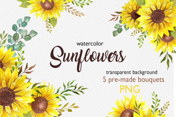 Watercolor Sunflower Bouquets PNG for Illustrations